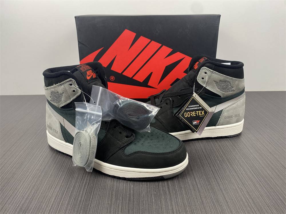 Air Jordan 1 Element Gore-Tex